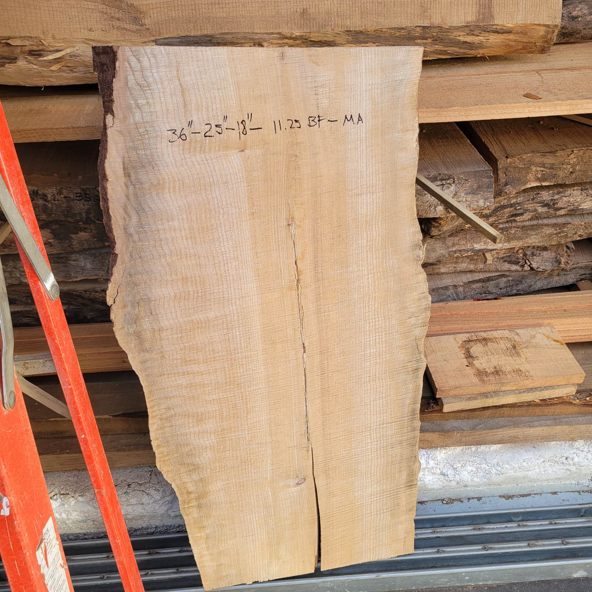 Big Leaf Maple